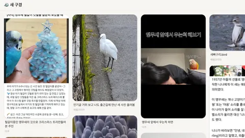 🐦 새 구경